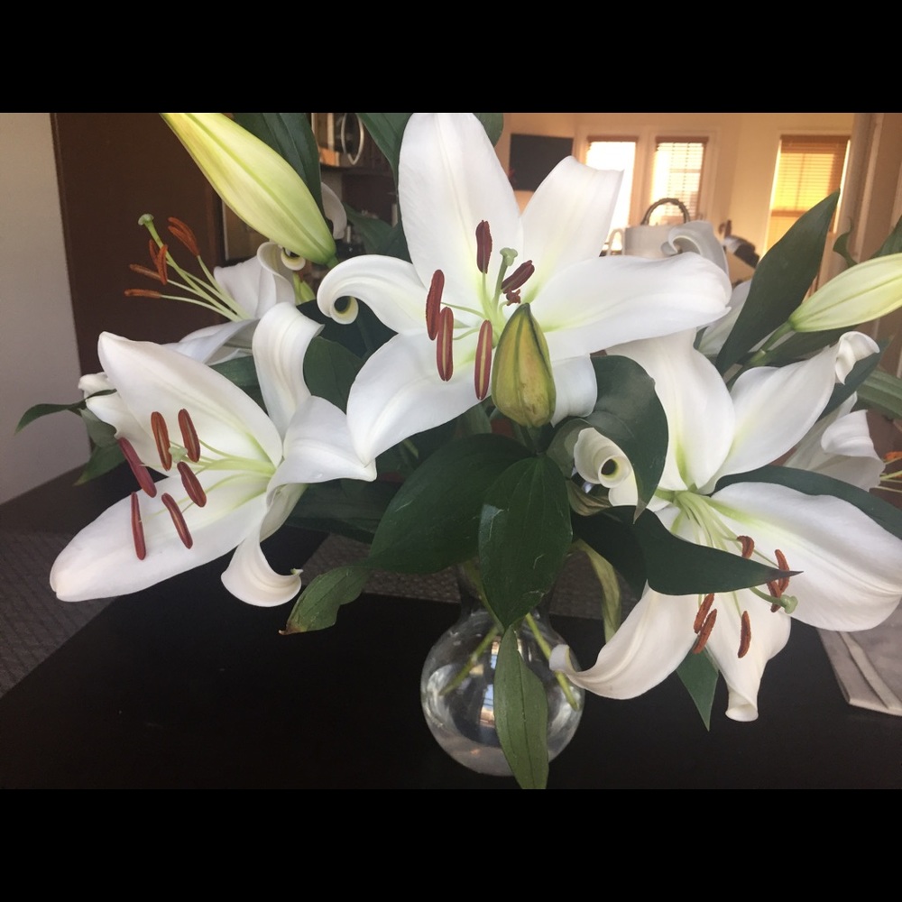 Meet your Posher, Arifa